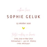 Geboortekaartje dino paars 3