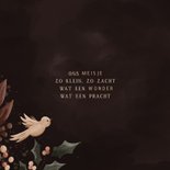 Geboortekaartje donkerroze met takjes en duiven 2