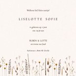 Geboortekaartje droogbloemen 3