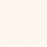 Geboortekaartje droogbloemen Achterkant