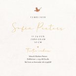 Geboortekaartje flamingo minimalistisch hartjes goud bloemen 3