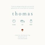 Geboortekaartje gele en blauwe regenlaarsjes broertje  3