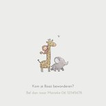 Geboortekaartje groene auto met dieren 2