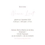 Geboortekaartje grote zus met baby 3