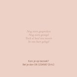 Geboortekaartje houten bakfiets zusje 2