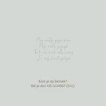 Geboortekaartje houten bakfietsje met broertjes 2