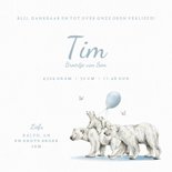 Geboortekaartje ijsbeer familie onder de maan en bloemen 3