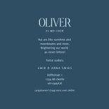 Geboortekaartje in blauw met illustratief bloemenkader  3