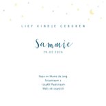 Geboortekaartje jongen blauw met een girafje 3