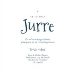 Geboortekaartje jongen dino plesiosaurus hartjes foto 3