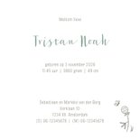 Geboortekaartje jongen hertje met vllinder 3