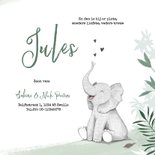Geboortekaartje jongen olifant dieren groen jungle 3