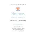 Geboortekaartje jongen schildpad zee onderwater 3