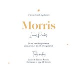 Geboortekaartje jongen stoer wit sterren goud vliegtuig 3