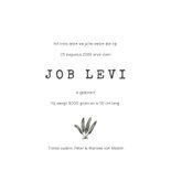 Geboortekaartje jungle met apen en klein aapje 3