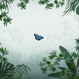 Geboortekaartje jungle toekan vlinder dieren groen Achterkant