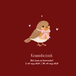 Geboortekaartje kerst met roodborstje met roze strik 2
