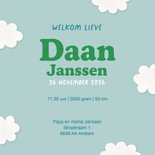 Geboortekaartje knuffel dieren in luchtballon blauw 3