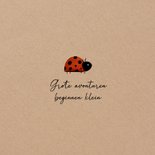 Geboortekaartje kraftlook lieveheersbeestje minimalistisch 2