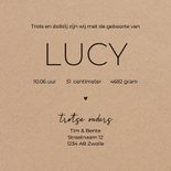 Geboortekaartje kraftlook lieveheersbeestje minimalistisch 3