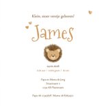 Geboortekaartje lief leeuwtje in zachte beige tinten 3