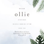 Geboortekaartje lief olifantje blauw jungle thema 3