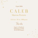 Geboortekaartje lief unisex leeuw welpje hartjes goud 3