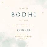 Geboortekaartje lief walvisje blauwe waterverf met sterren Achterkant