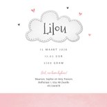 Geboortekaartje lief zusje olifantjes en hartjes 3