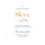 Geboortekaartje luchtballonnen vintage stoer sterren goud 3