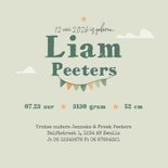 Geboortekaartje mammoet auto stoer lief slinger wolken ster 3