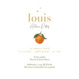 Geboortekaartje mandarijn schattig zomer hartjes goud 3