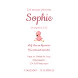 Geboortekaartje meisje flamingo met roze streepjes 3