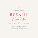 Geboortekaartje meisje lente wilde bloemen vlinders hartjes 3