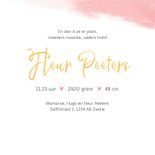 Geboortekaartje meisje lief hertje bloemen lente waterverf 3