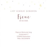 Geboortekaartje meisje met een lief girafje 3