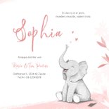 Geboortekaartje meisje olifant dieren roze illustratie 3
