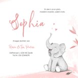 Geboortekaartje meisje olifant dieren roze illustratie 3