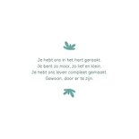 Geboortekaartje met dino gezin 2
