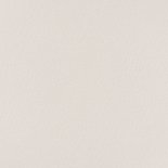 Geboortekaartje met een lief aapje Achterkant