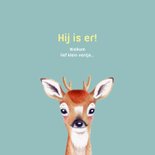 Geboortekaartje met hertje voor een jongen 2