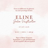 Geboortekaartje met illustratie giraf en kinderwagen 3