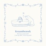 Geboortekaartje met illustratie kat en mozes mand blauw 2