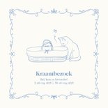 Geboortekaartje met illustratie kat en mozes mand blauw 2