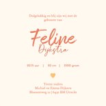 Geboortekaartje met jong hertje tussen de bloemen en hartjes 3