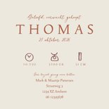 Geboortekaartje met lief roodborstje 3