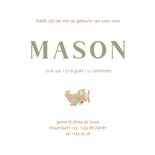 Geboortekaartje met wolkjes en vliegtuigje 3