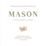 Geboortekaartje met wolkjes en vliegtuigje Achterkant