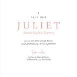 Geboortekaartje papegaaiduiker vogeltje hartjes meisje 3