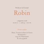 Geboortekaartje silhouet baby in hangschommel en broertje 3